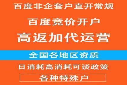 百度竞价排名实战：关键词优化与落地页优化案例